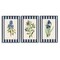 Stupell Industries Vintage Plant Studies over Stripes 3 Piece Black Framed Giclee Art Set, design by Corinne Haig